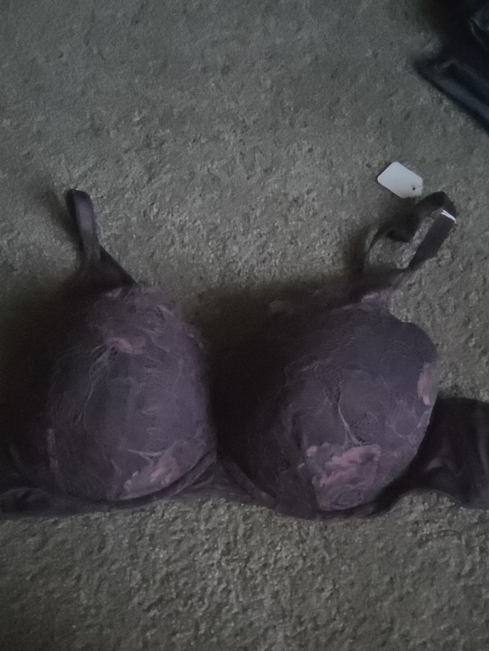Lace-Embellished Smooth Cup Bra in Plum